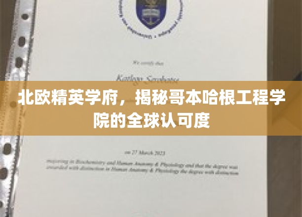 北欧精英学府，揭秘哥本哈根工程学院的全球认可度