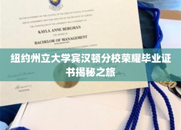 探索纽约州立大学宾汉顿分校荣耀学位背后的秘密凭证