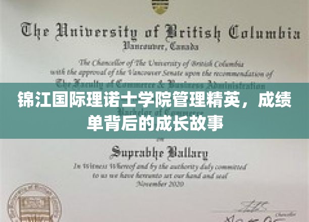锦江国际理诺士精英养成记，管理翘楚的成长轨迹揭秘