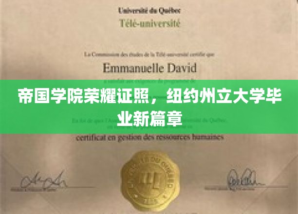 纽约州立荣耀启航，帝国学院精英学子新证照闪耀光芒