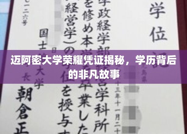 迈阿密大学荣誉证书背后，探寻非凡学子的成长轨迹