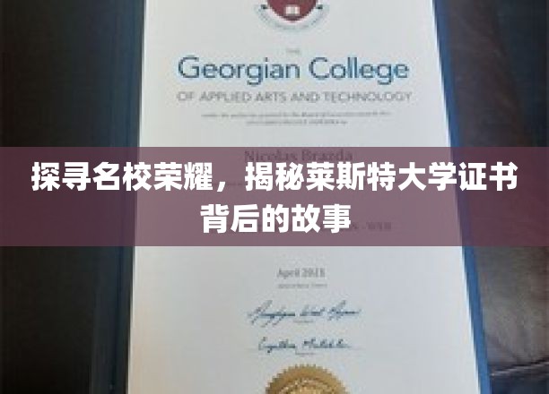莱斯特大学证书之谜，名校荣耀背后的不凡历程