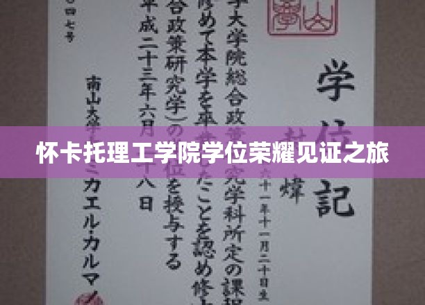 怀卡托荣耀足迹，探寻学位成就的非凡之旅