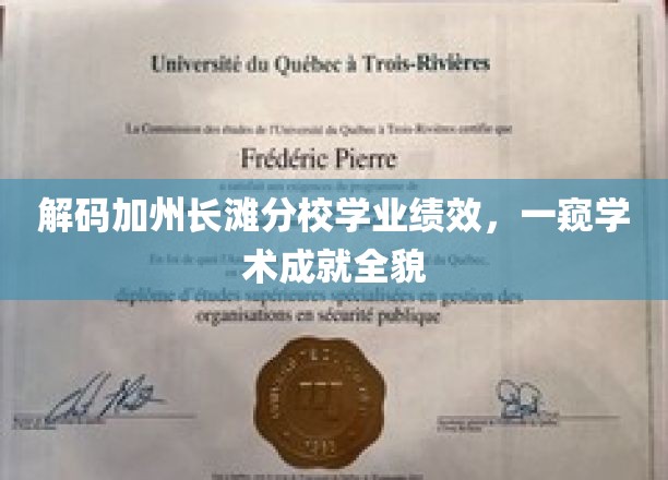 解码加州长滩分校学业绩效，一窥学术成就全貌