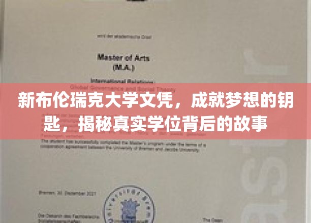 解锁梦想之门，新布伦瑞克大学文凭背后的非凡旅程