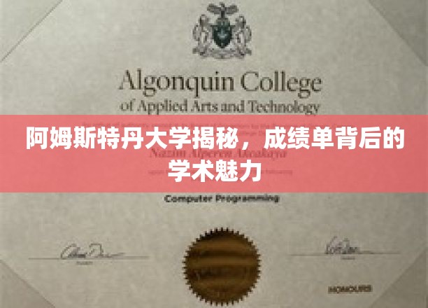 阿姆斯特丹大学揭秘，成绩单背后的学术魅力