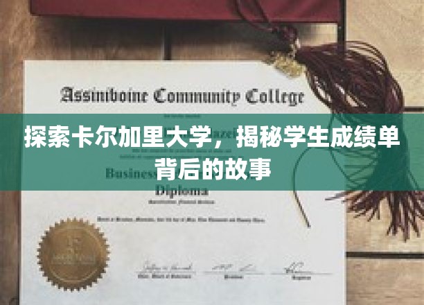 解锁卡尔加里大学成绩单，揭开学生成就的神秘面纱