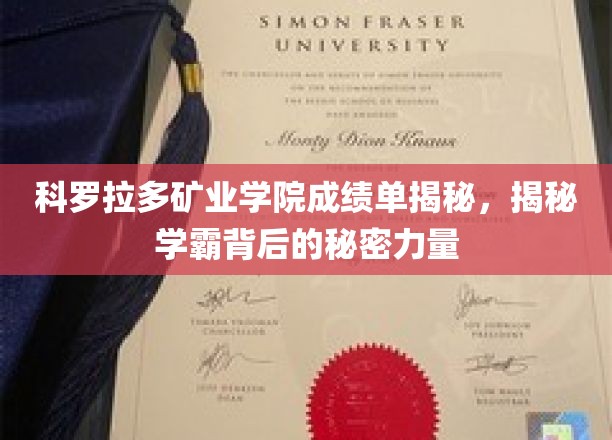 科罗拉多矿业学霸养成记，揭秘背后的卓越力量