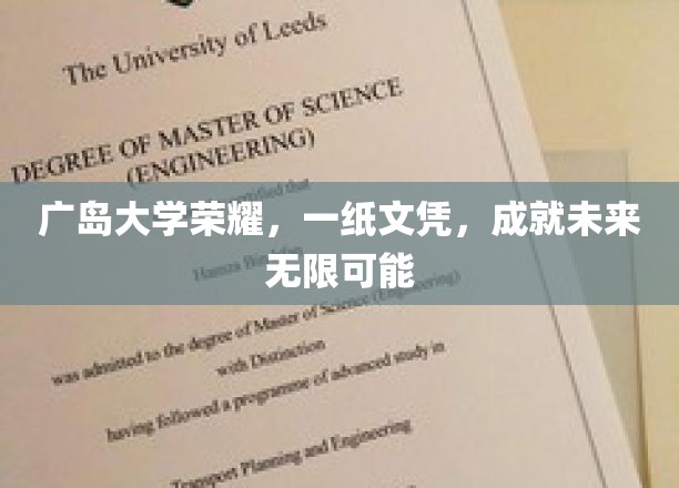 广岛大学文凭，开启无限可能的未来之门