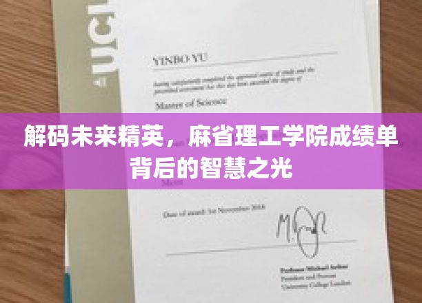 解码MIT卓越，探索精英学子背后的智慧轨迹