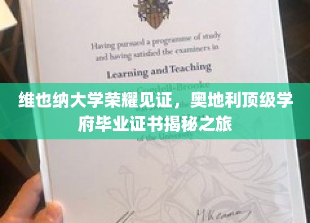 探索维也纳大学传奇，揭秘奥地利顶级学府的荣耀证书之旅