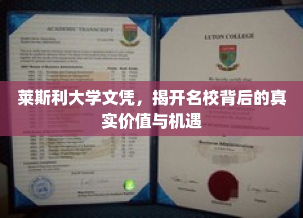 名校光环下的真实价值，莱斯利大学文凭背后的机遇探索