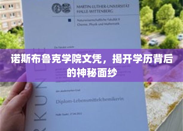 探寻诺斯布鲁克学院文凭，揭秘精英教育背后的秘密世界