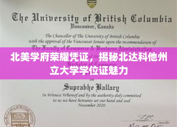 北美学府荣耀凭证，揭秘北达科他州立大学学位证魅力