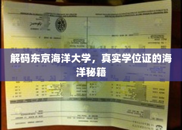 解码东京海洋大学，真实学位证的海洋秘籍