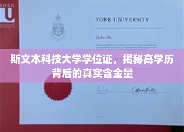 揭开斯文本科技大学学位证背后的价值之谜