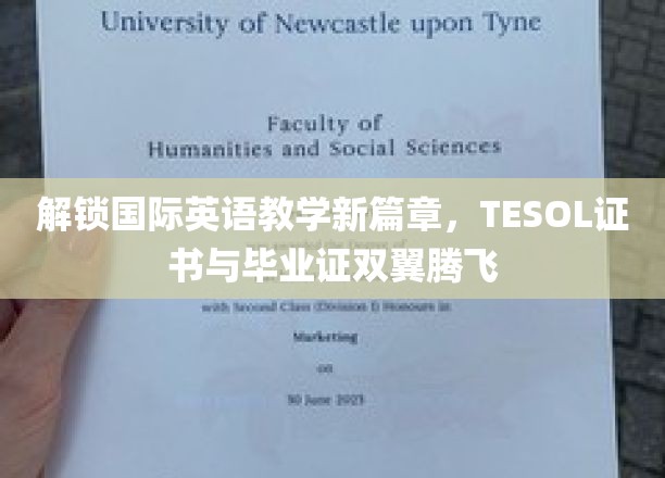 双证助力，国际英语教学新里程，TESOL与学位证书并蒂花开