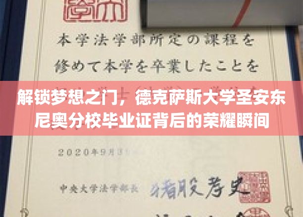 解锁梦想之门，德克萨斯大学圣安东尼奥分校毕业证背后的荣耀瞬间