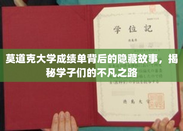 揭开莫道克大学成绩单，探寻学子非凡成长轨迹