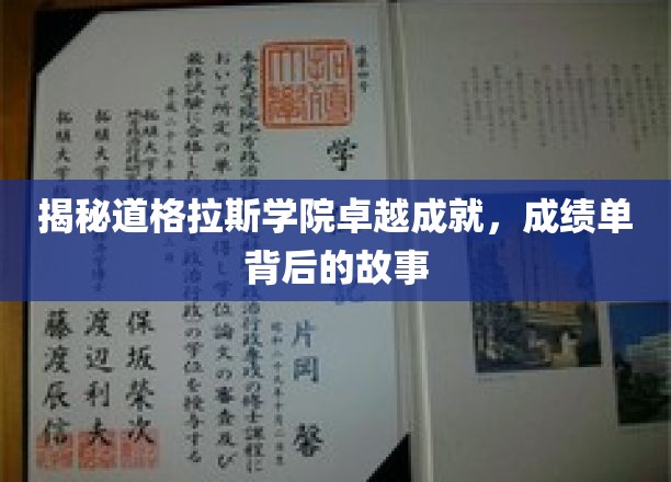 揭秘道格拉斯学院卓越成就，成绩单背后的故事