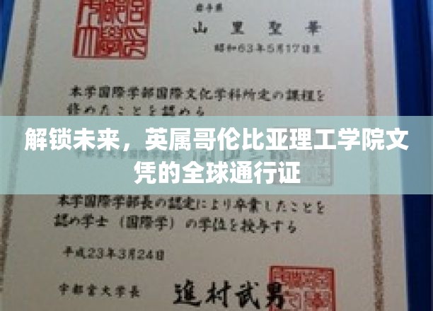 跨国界通行，英属哥伦比亚理工学院文凭引领未来职场之路