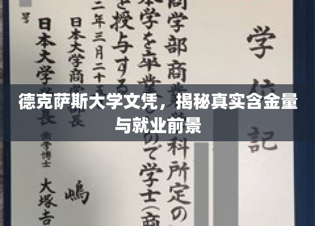 德克萨斯大学文凭，揭秘真实含金量与就业前景
