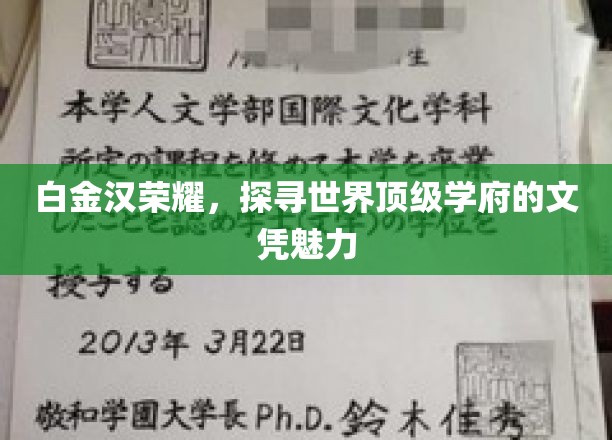 白金汉荣耀，探寻世界顶级学府的文凭魅力