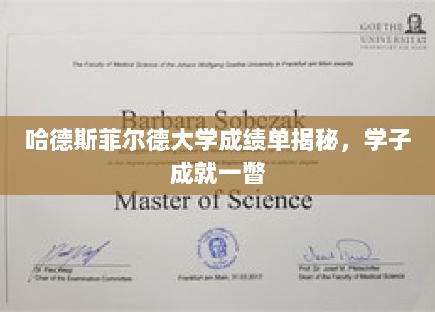 哈德斯菲尔德大学成绩单揭秘，学子成就一瞥