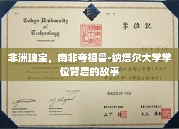 探寻南非夸祖鲁-纳塔尔大学学位的非洲传奇魅力