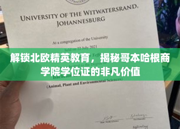 探寻哥本哈根商学院学位证的北欧教育奥秘