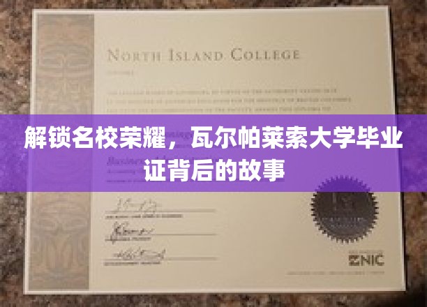 解锁名校荣耀，瓦尔帕莱索大学毕业证背后的故事