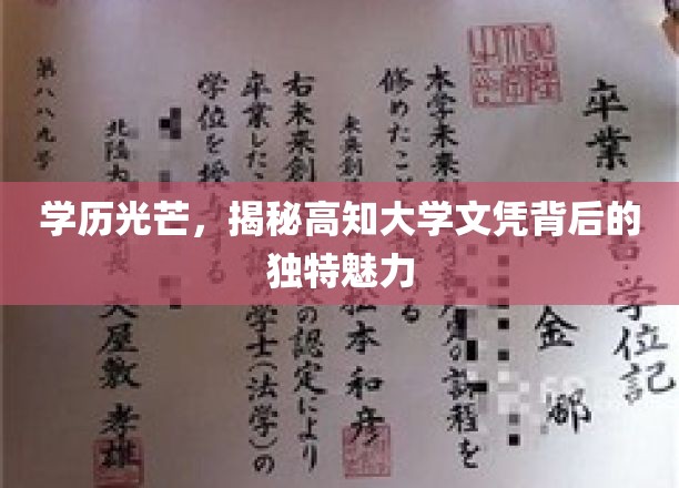 高学历光环，探寻顶尖大学文凭的独特吸引力