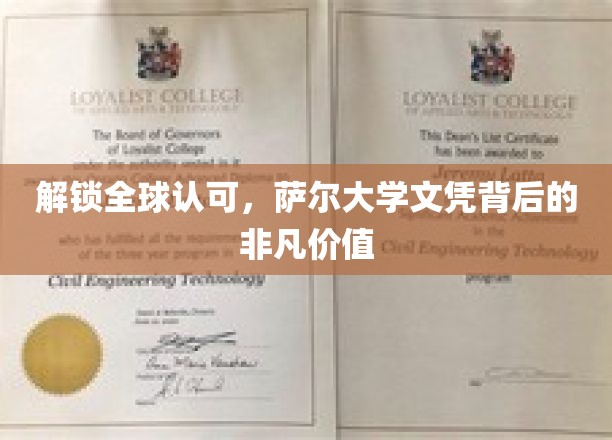 解锁全球认可，萨尔大学文凭背后的非凡价值