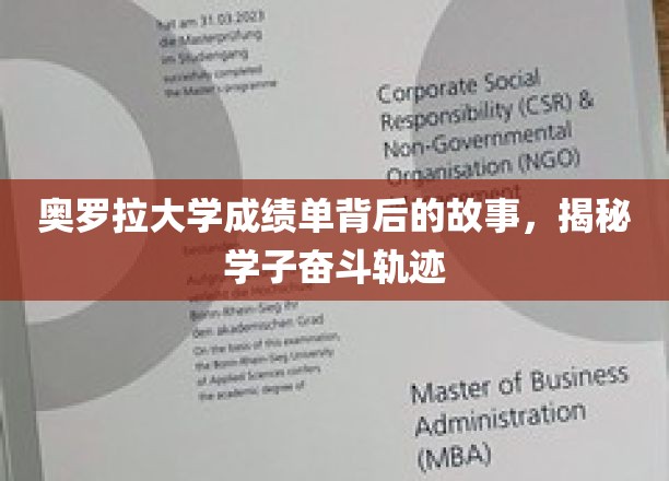 奥罗拉学子足迹，揭开成绩单背后的奋斗篇章