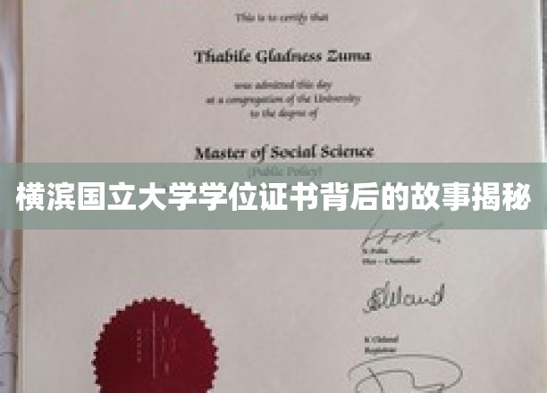 横滨国立大学学位证书，探寻背后的传奇故事