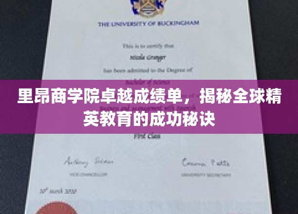 解码里昂商学院，揭秘全球精英教育的卓越之路