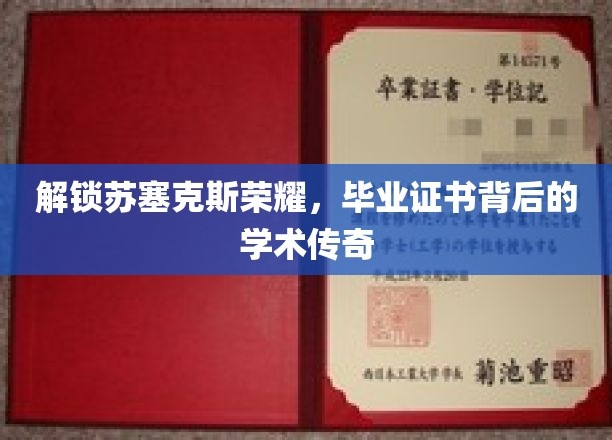 苏塞克斯辉煌揭秘，毕业证书背后的学术奇闻录