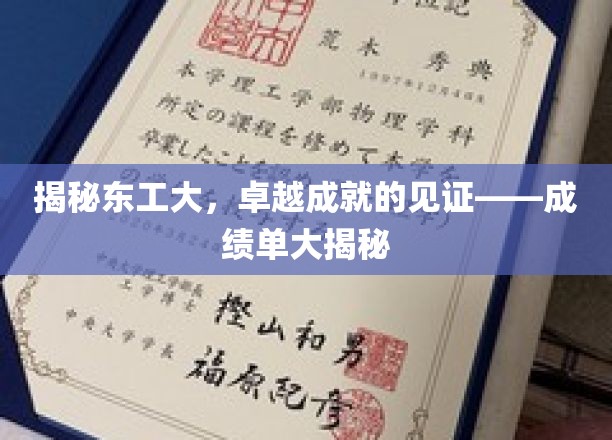 揭秘东工大，卓越成就的见证——成绩单大揭秘