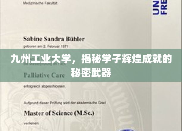 九州工业大学，揭秘学子辉煌成就的秘密武器