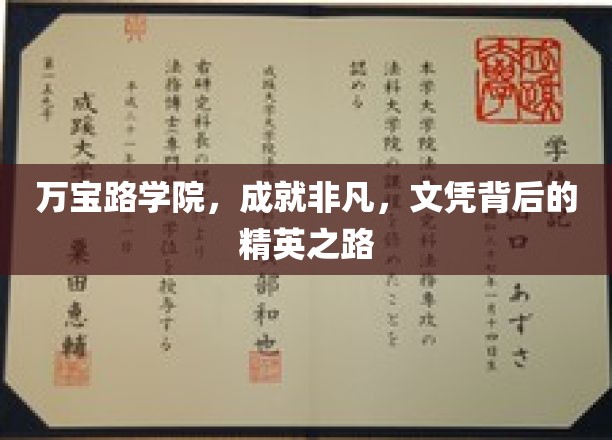 万宝路精英养成记，文凭背后的非凡成长之旅