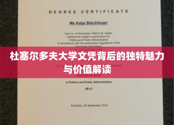 揭开杜塞尔多夫大学文凭的全球吸引力与深层价值密码