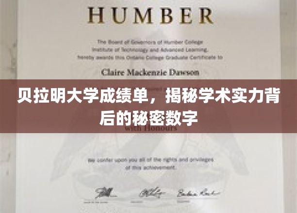 贝拉明大学成绩单解码，揭开学术实力与数字背后的深层秘密