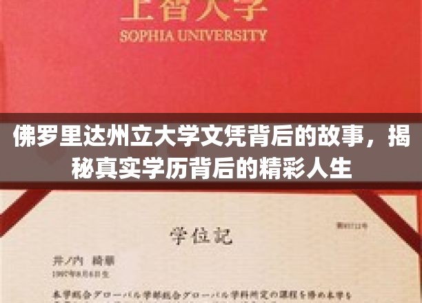 佛罗里达州立大学文凭背后的故事，揭秘真实学历背后的精彩人生