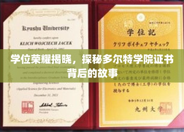 揭开荣耀面纱，多尔特学院学位证书的传奇历程