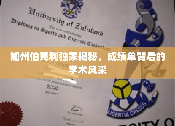 解码伯克利精英，成绩单背后的学术璀璨之光