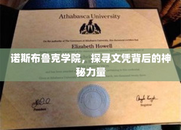 揭开诺斯布鲁克学院文凭的神秘魅力面纱