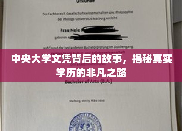 学历背后的传奇，中央大学文凭的非凡溯源之旅
