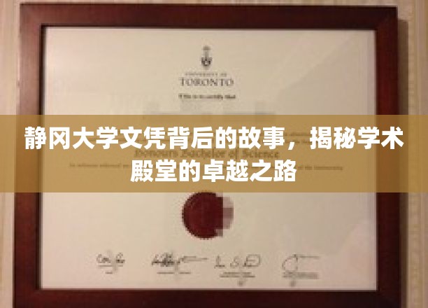 静冈大学文凭背后的故事，揭秘学术殿堂的卓越之路