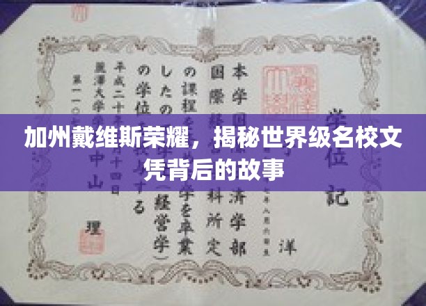 加州戴维斯荣耀，揭秘世界级名校文凭背后的故事