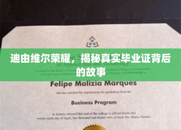 迪由维尔荣耀揭秘，毕业证背后的不凡历程